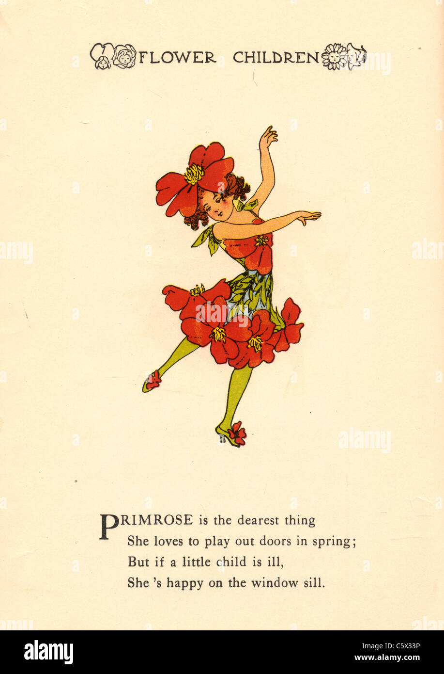 - Primrose Flower Child Illustration d'un livre ancien Banque D'Images