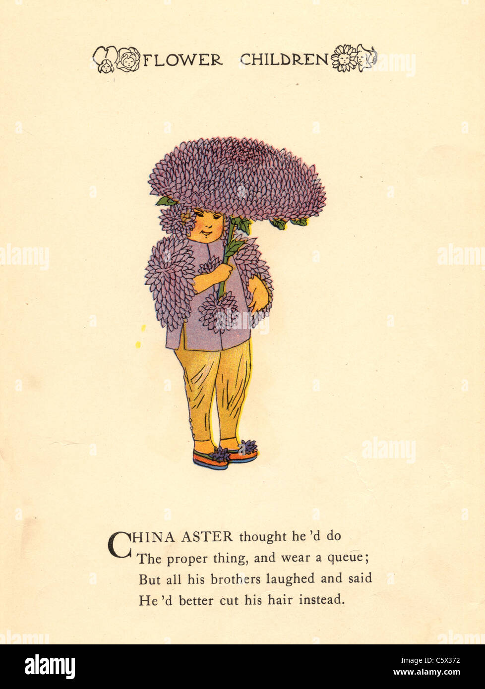 China Aster à fleurs - Illustration de l'enfant à partir d'un livre ancien Banque D'Images