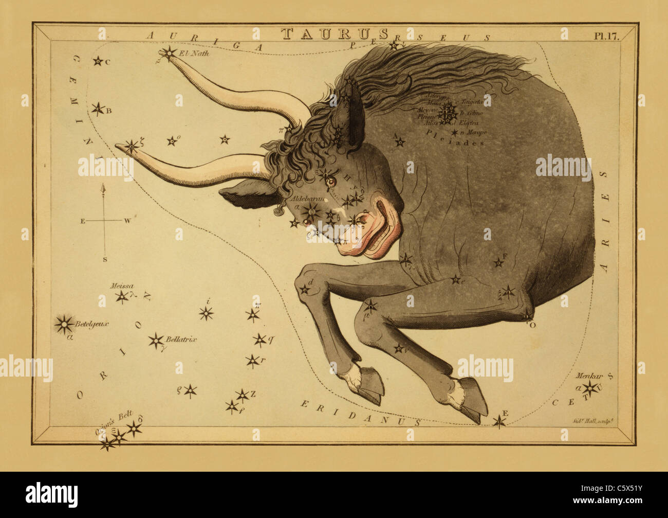 Taureau - 1825 Tableau astronomique Banque D'Images