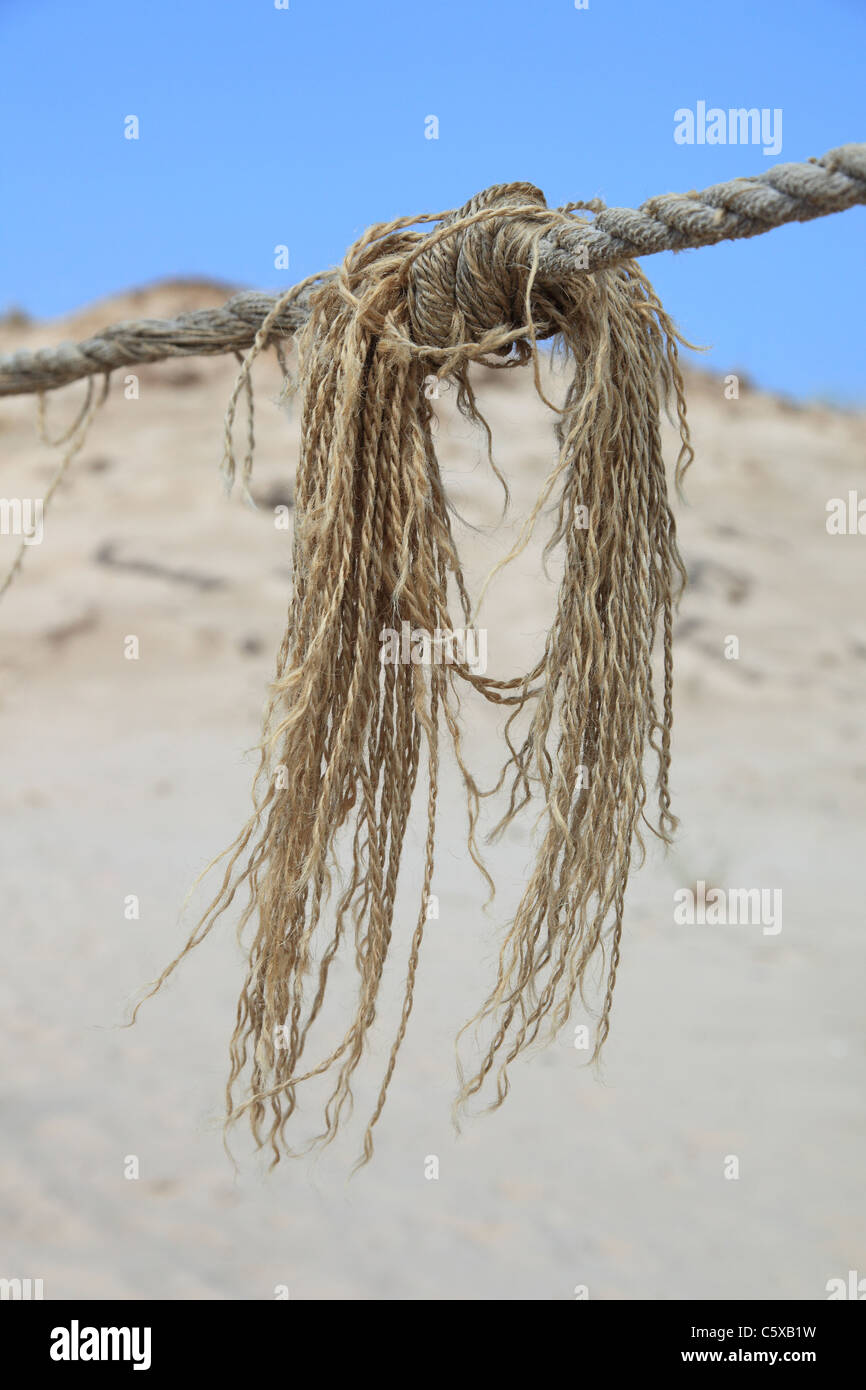 Corde noeud à aller de dunes de sable, le Parc National Slowinski Près de Leba, Pologne Banque D'Images