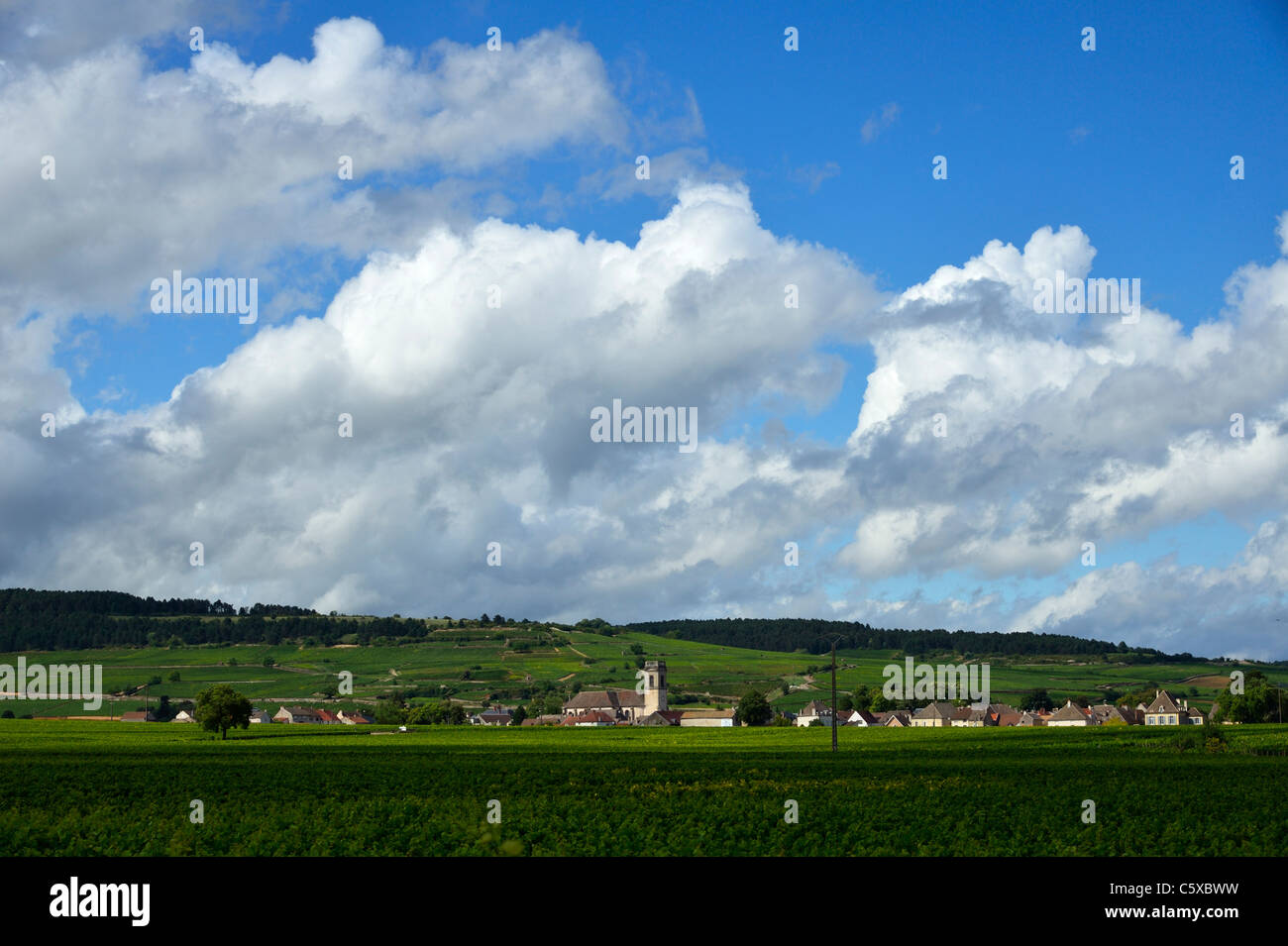 Les vignobles mondialement célèbres autour de la ville de Pommard (route des Grands crus), Bourgogne FR Banque D'Images