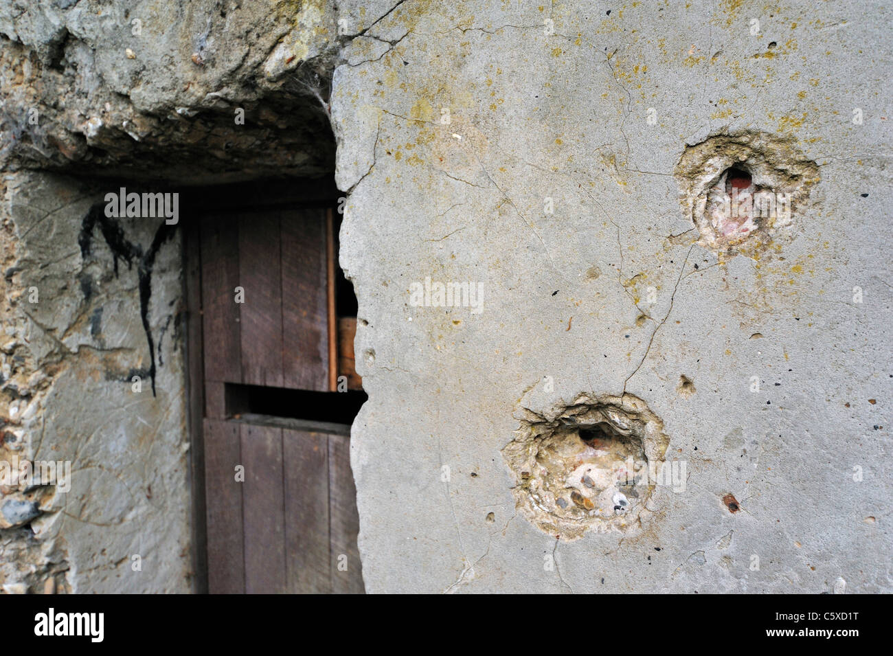 La WW1 bunker montrant des impacts de balles sur le Lettenberg, Première Guerre mondiale Un 14-18 à Kemmel, Flandre occidentale, Belgique Banque D'Images