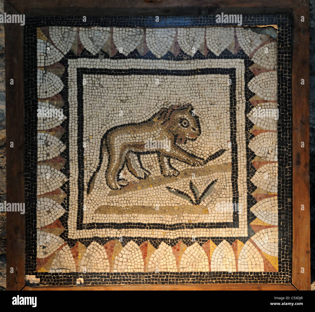 Mosaïque romaine d'un lion dans le Musée gallo romains Vienne France Banque D'Images