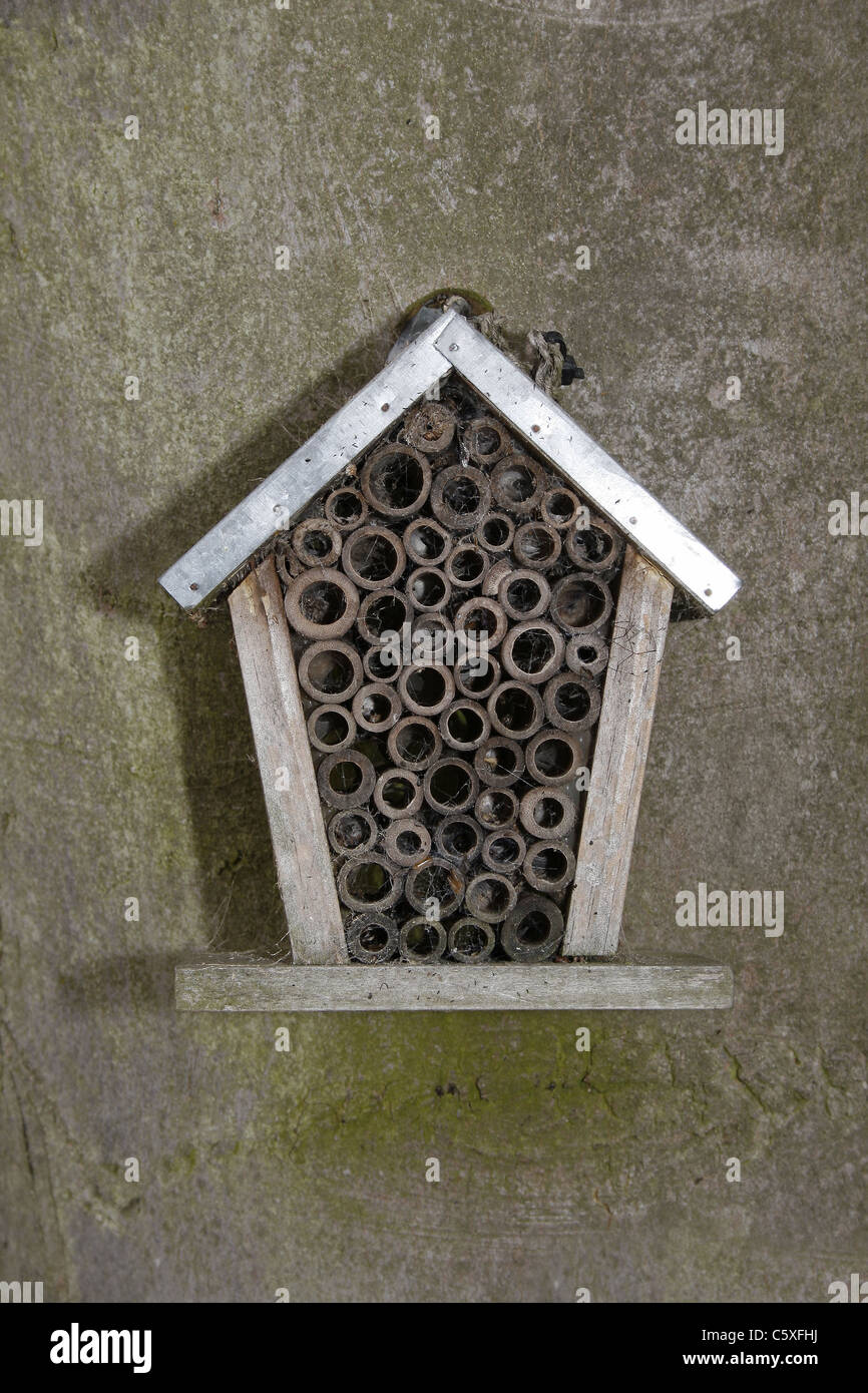 La boîte du nid d'abeilles papillons tropicaux, de la faune et de Falconry Centre, North Anston, South Yorkshire, Angleterre Banque D'Images