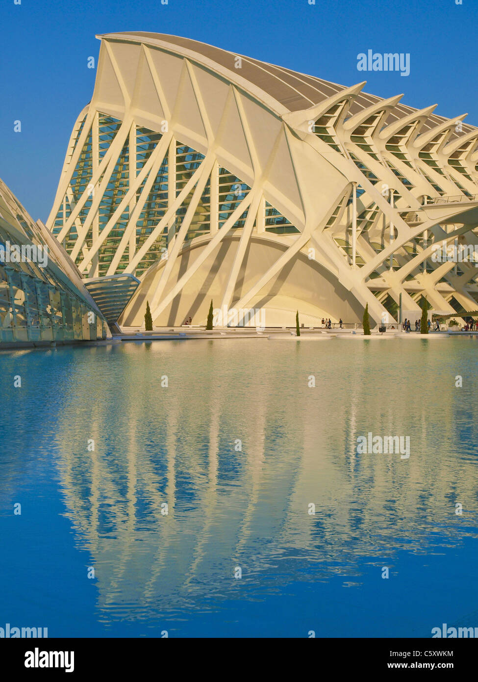 Valence, Ciudad de las Artes y de las Ciencias, cité des arts et des sciences, Santiago Calatrava, Espagne Banque D'Images