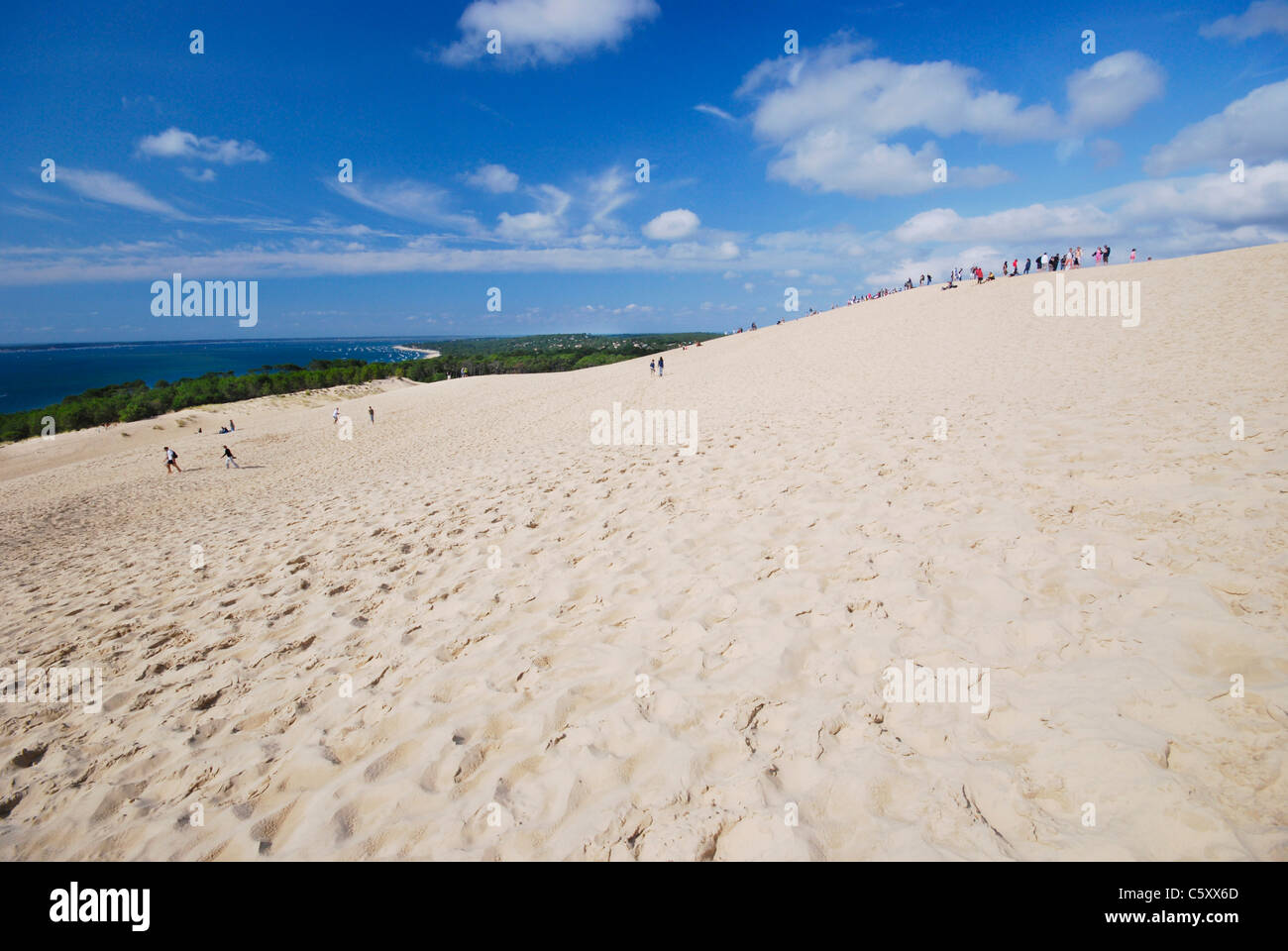 Voir à partir de la Dune du Pilat (aka Dune du Pyla) par Arcachon, France, la plus grande dune de sable en Europe : 107 m de haut et 3 km de long. Banque D'Images