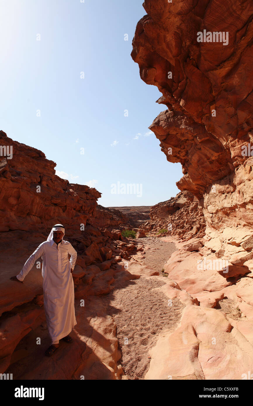 Un Bédouin homme debout dans le canyon coloré, du sud du Sinaï, en Égypte. Banque D'Images