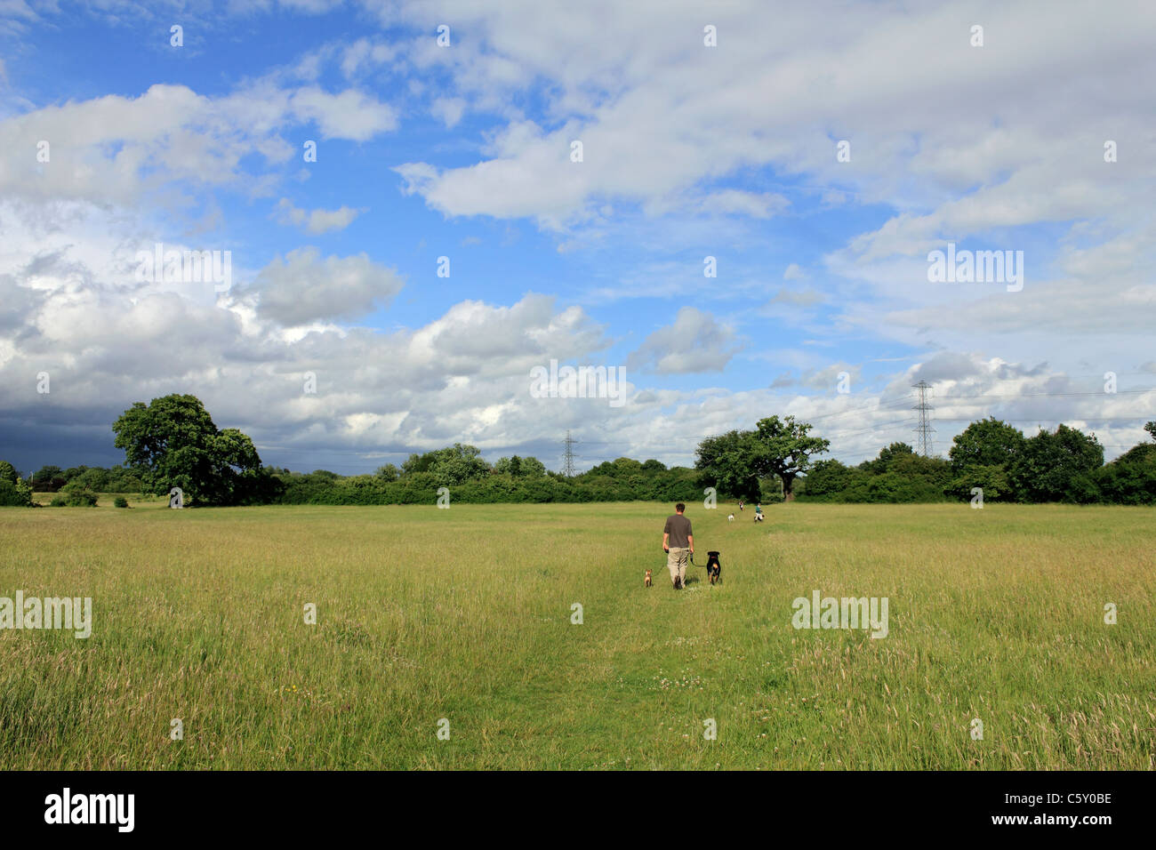 Dog Walker à la réserve naturelle locale, Tolworth Court Farm Surrey England UK Banque D'Images