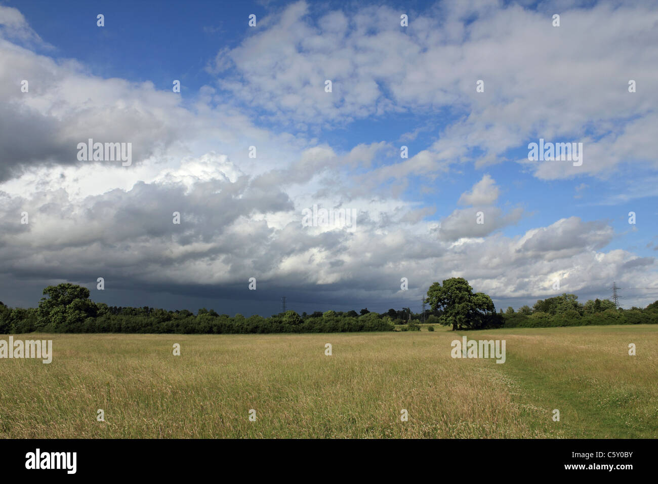 Ciel orageux à la réserve naturelle locale, Tolworth Court Farm Surrey England UK Banque D'Images