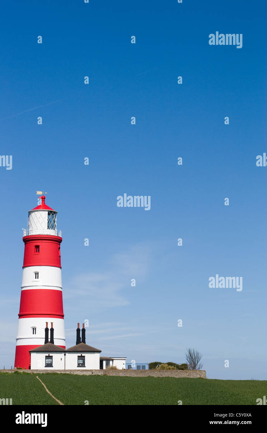Happisburgh Phare,Norfolk,UK. Le monument le plus célèbre de Norfolk situé contre un parfait ciel bleu clair avec un vert luxuriant domaine de blé devant les jeunes Banque D'Images