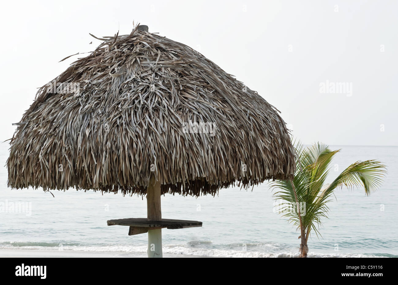 Quitter Palm parasol sur une plage avec un horizon de l'océan Banque D'Images