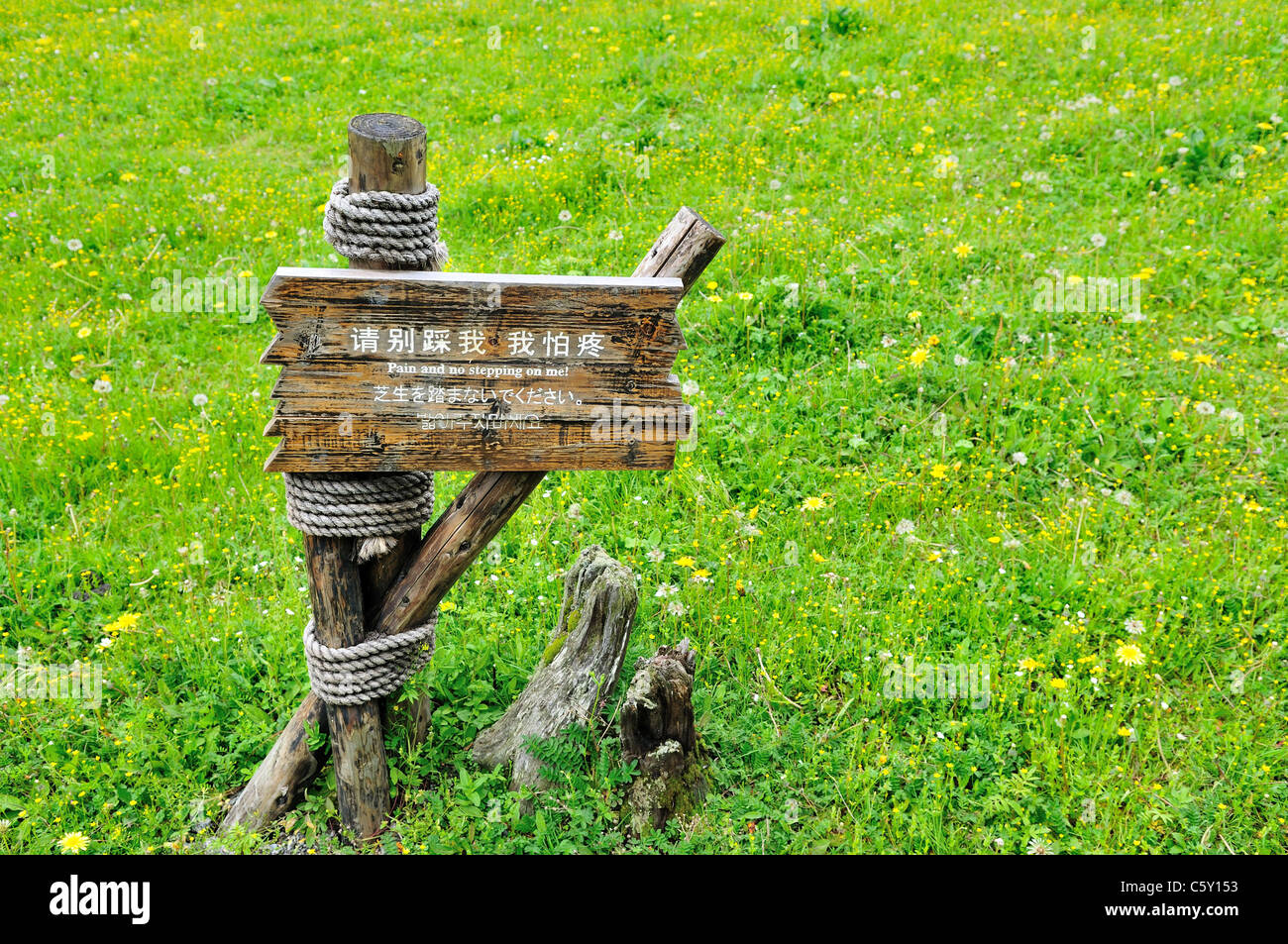 Multi-lingual sign rappelle aux touristes de ne pas marcher sur l'herbe. Réserve Naturelle de Siguniang Shan, Sichuan, Chine. Banque D'Images