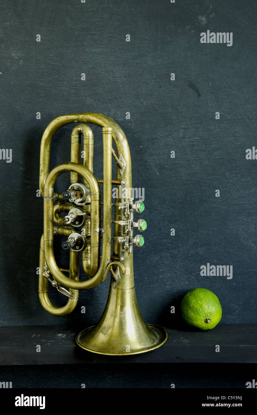 Instrument de cuivre et de citron vert et la vie encore Banque D'Images
