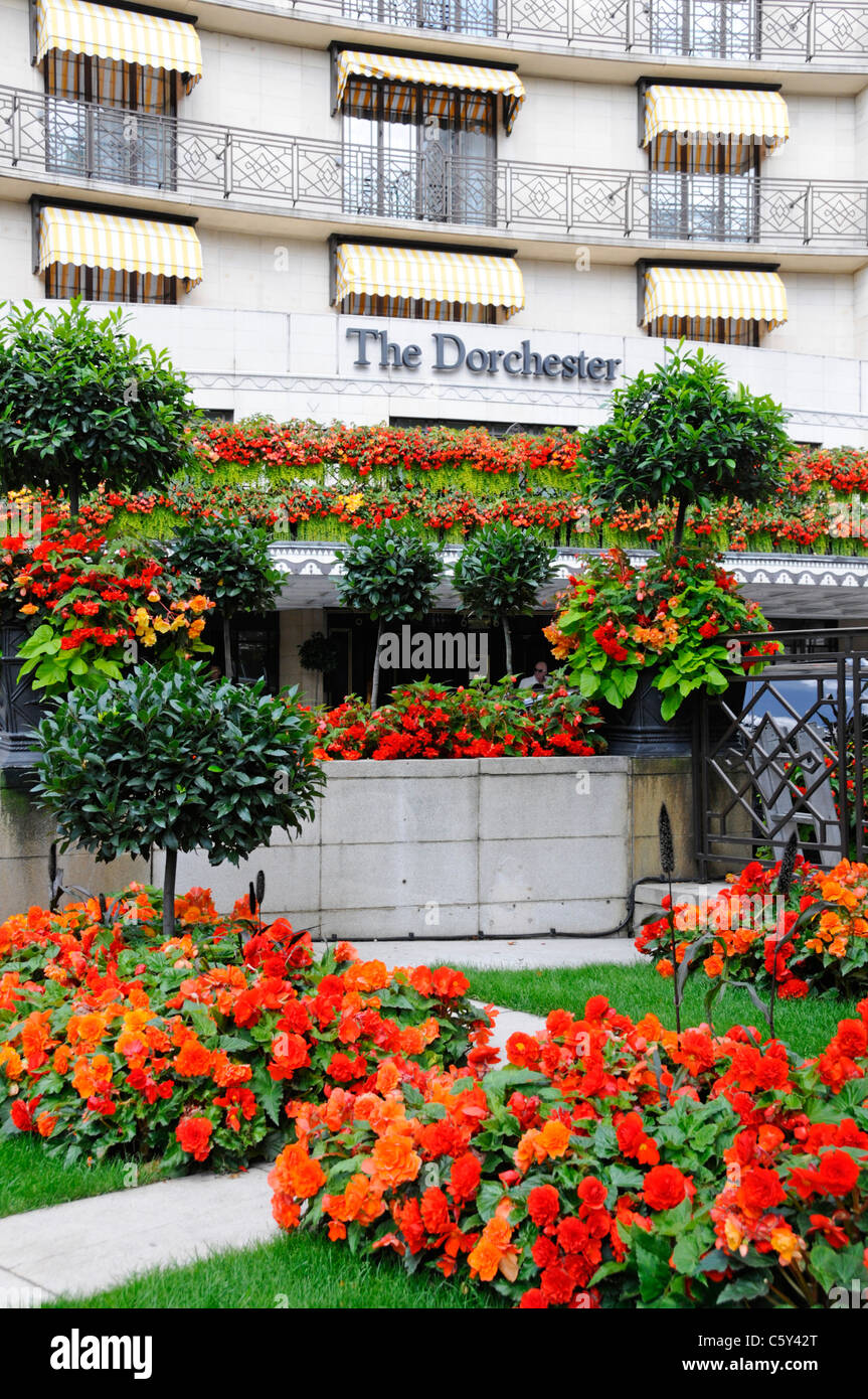 Le célèbre hôtel Dorchester prestigieux hôtel de luxe cinq étoiles sur Panneau de façade Park Lane stores et fleurs dans les jardins Mayfair West End Londres Angleterre Royaume-Uni Banque D'Images