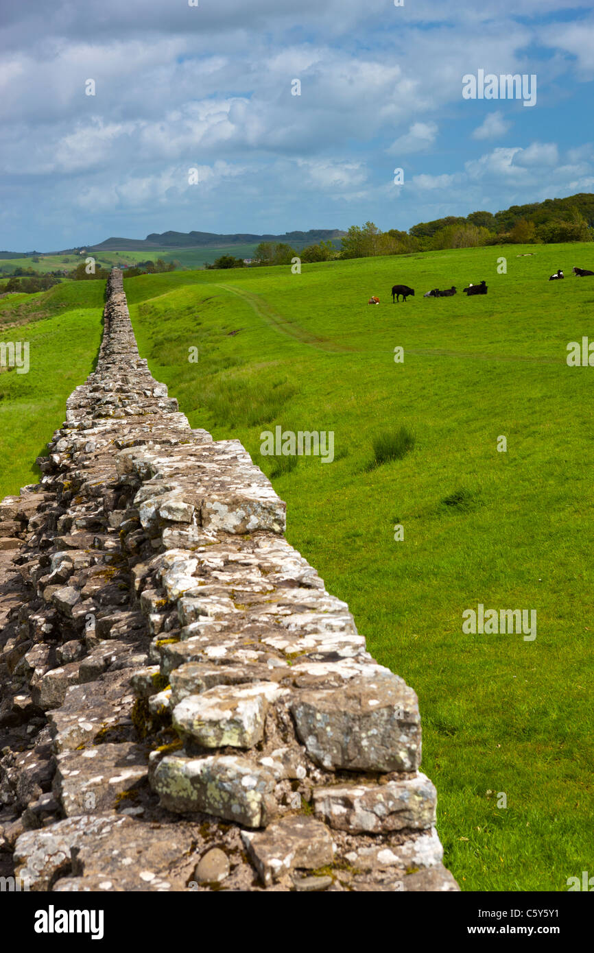 Mur d'Hadrien (Italien : Vallo di Adriano, en latin : Vallum Aelium), commencé en l'an 122, Site du patrimoine mondial de l'UNESCO Banque D'Images