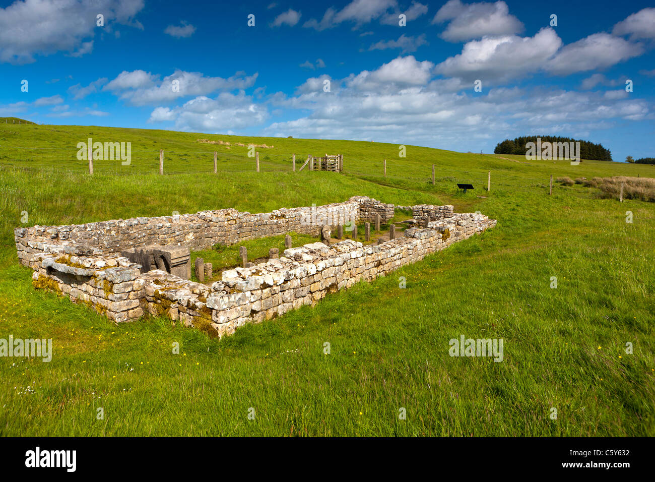 Temple de Mithra, mur d'Hadrien, Carrawburgh, près de Hexham, Northumberland, England, UK. Banque D'Images