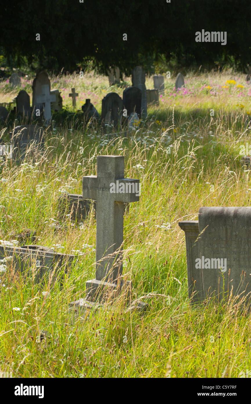 Pierres tombales du cimetière de West Brompton dans l'ouest de Londres, Angleterre, Royaume-Uni. Banque D'Images