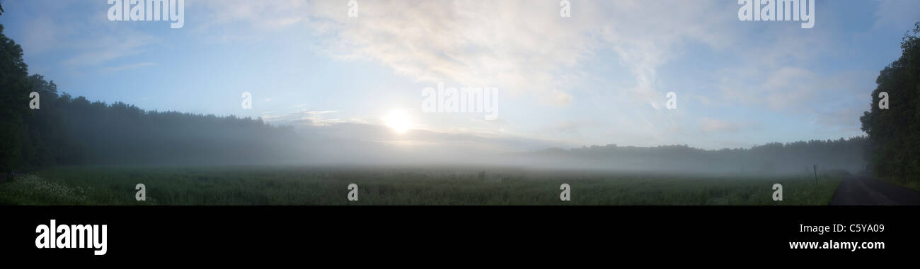 Panorama 180 degrés d'un champ et de bois recouvert d'un épais brouillard au lever du soleil, le soleil se lève derrière les nuages Banque D'Images