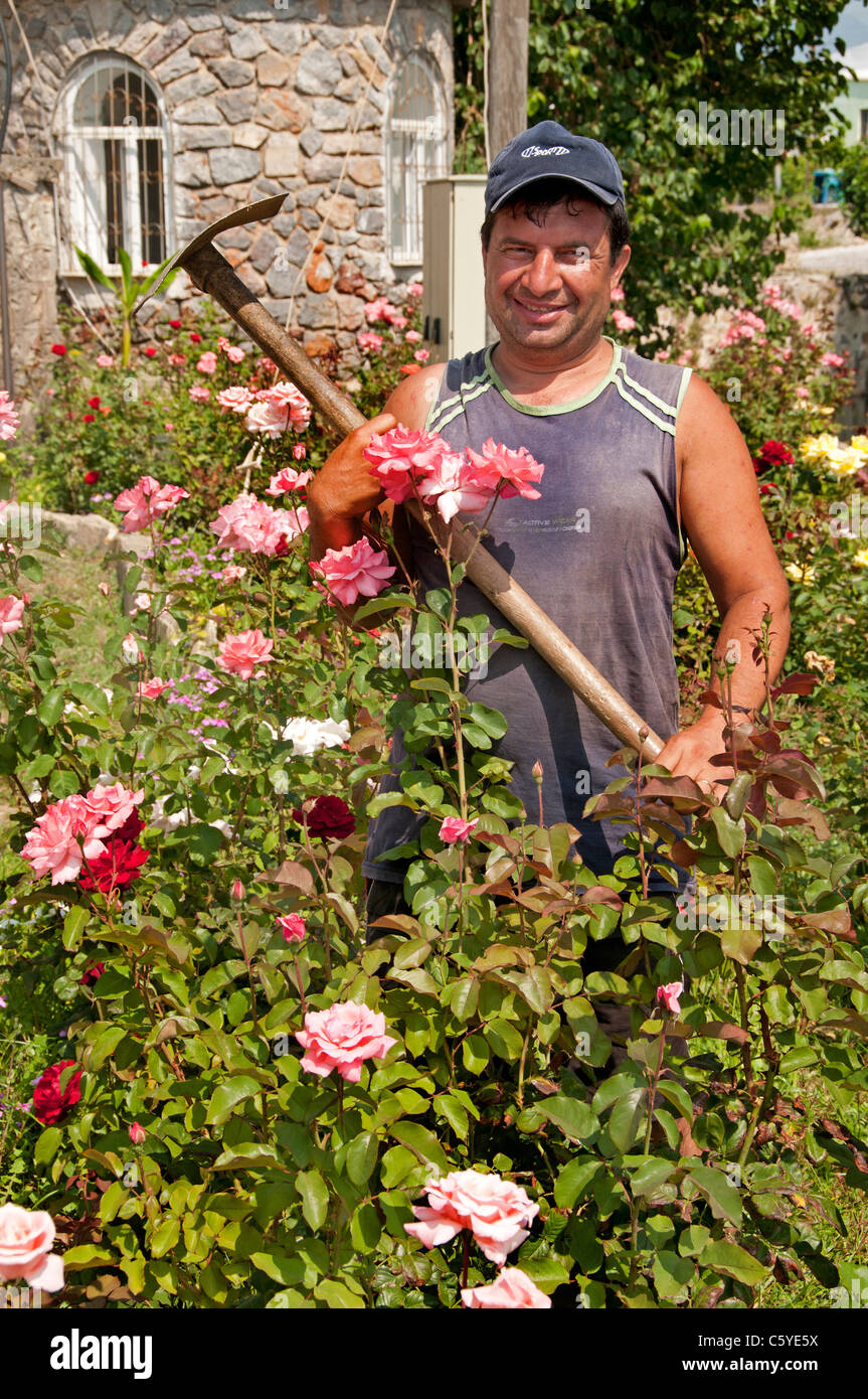 Roses Rose Jardin jardinier Mamure Turquie château château médiéval dans la province de Mersin district Anamur Banque D'Images
