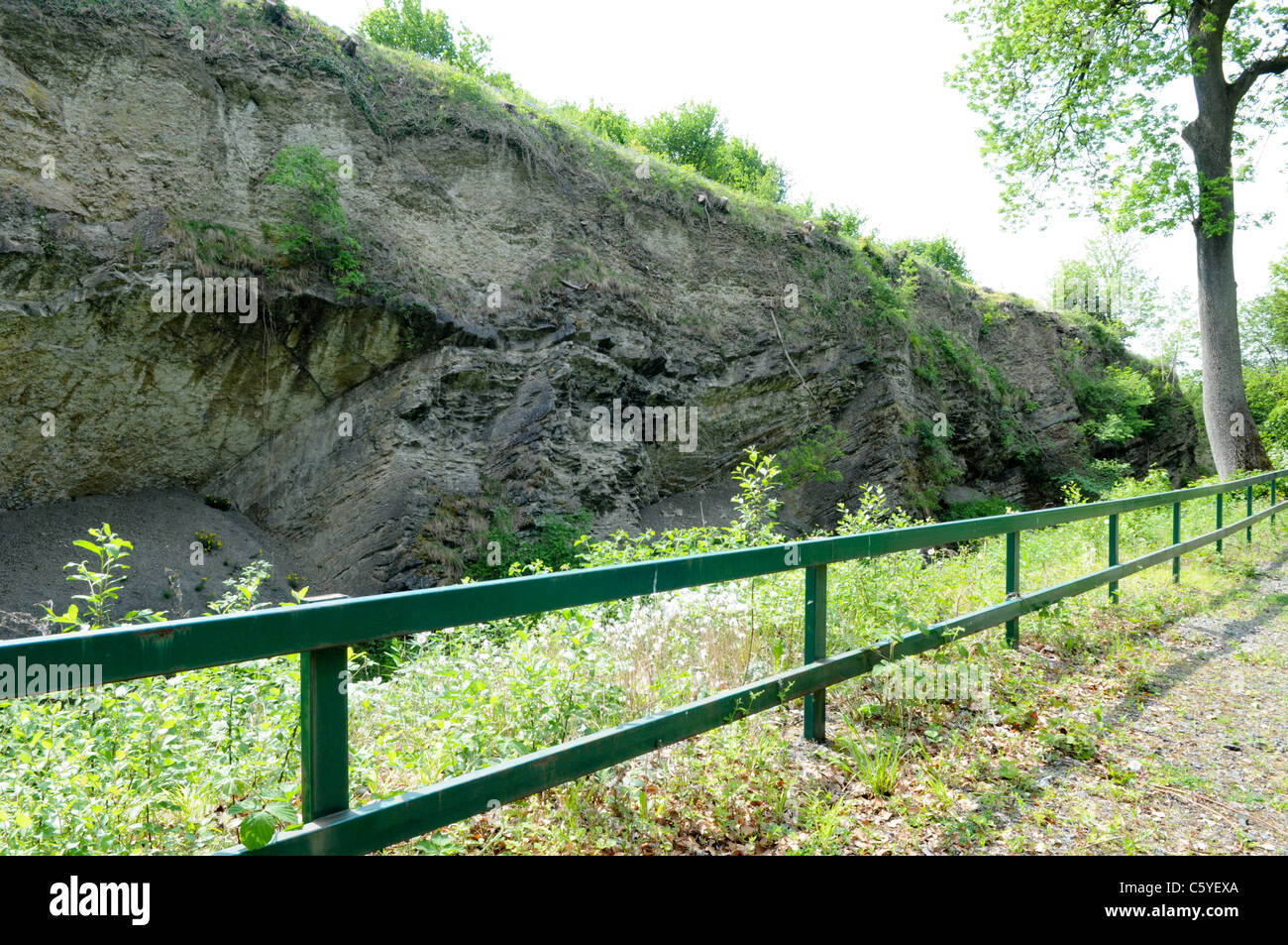 Vue de sept Sœurs cavernes de calcaire et de garde-fous aux Wren's Nest National Nature Reserve à Dudley Banque D'Images