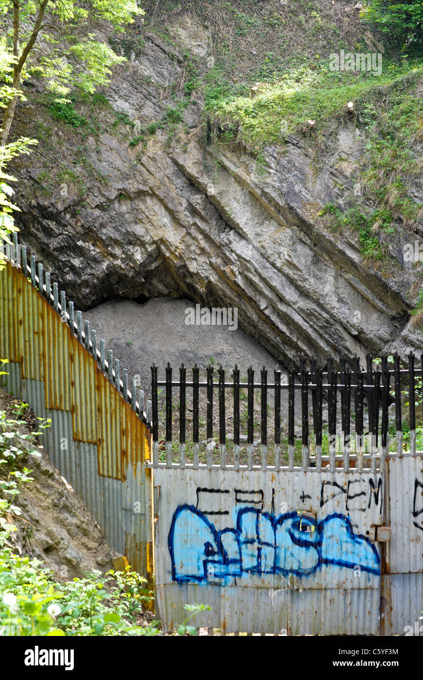 Des graffitis sur des rampes en métal protégeant ancienne mine de calcaire fonctionne et combustibles d'appoint à Wren's Nest National Nature Reserve à Dudley Banque D'Images