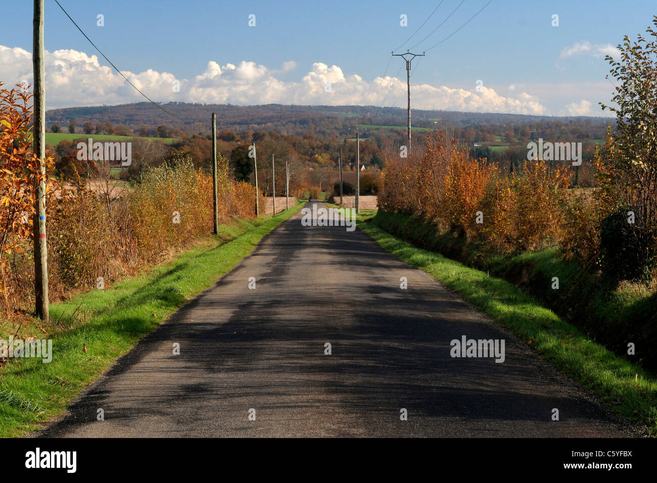 Une petite route dans la campagne, à l'automne (nord, Mayenne, Pays de la Loire, France). Banque D'Images