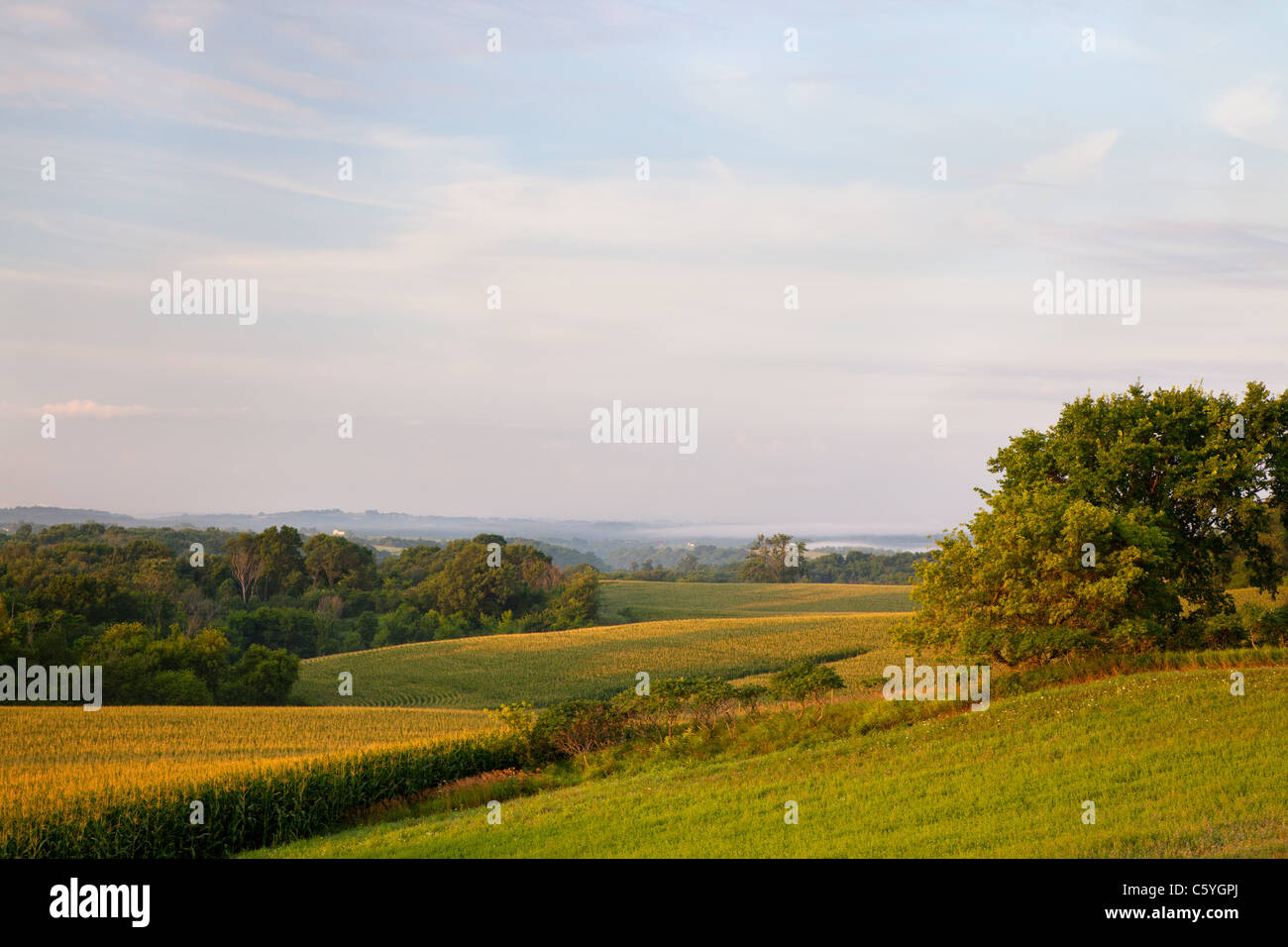 Scènes rurales le long de la région non glaciée Scenic Byway, County Road B25, Allamakee Comté (Iowa) Banque D'Images