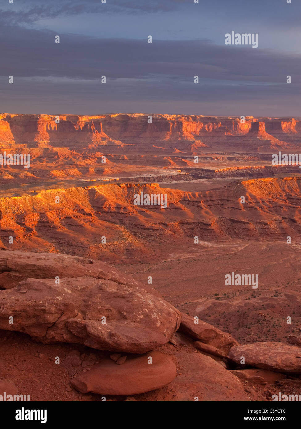 De Canyonlands listel blanc donnent sur l'île, dans le ciel, Canyonlands National Park, Utah Banque D'Images