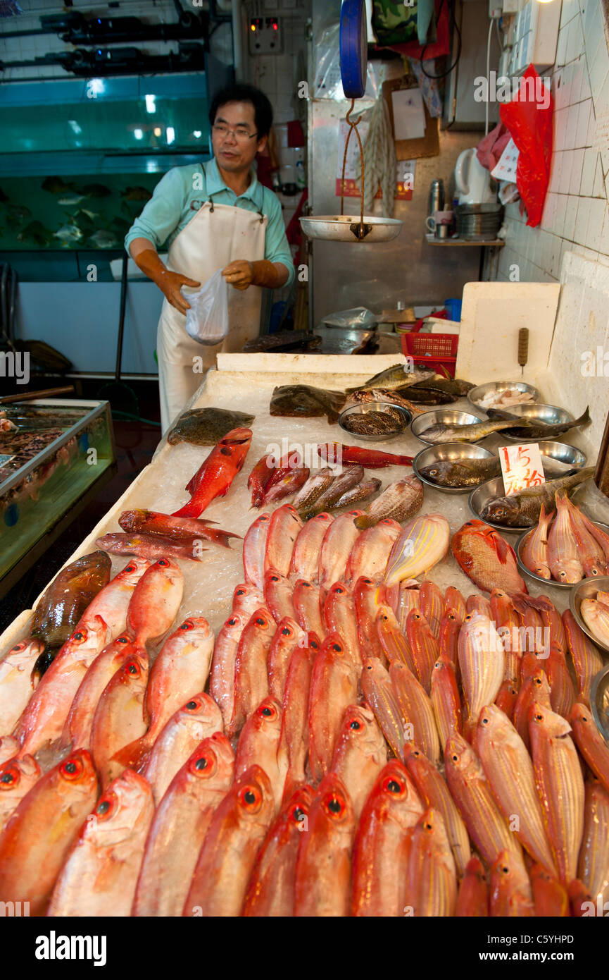 Des marchands de poisson dans le décrochage du marché Tung Choi Street salon de Mong Kok, Kowloon, Hong Kong Banque D'Images