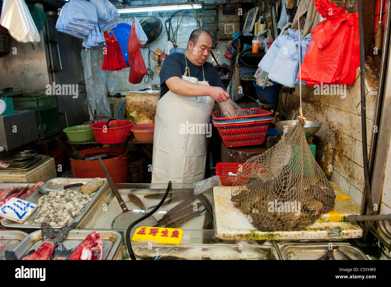 Des marchands de poisson échoppe de marché spécialisée dans les grenouilles dans la région de Tung Choi Street Mong Kok, Kowloon, Hong Kong Banque D'Images