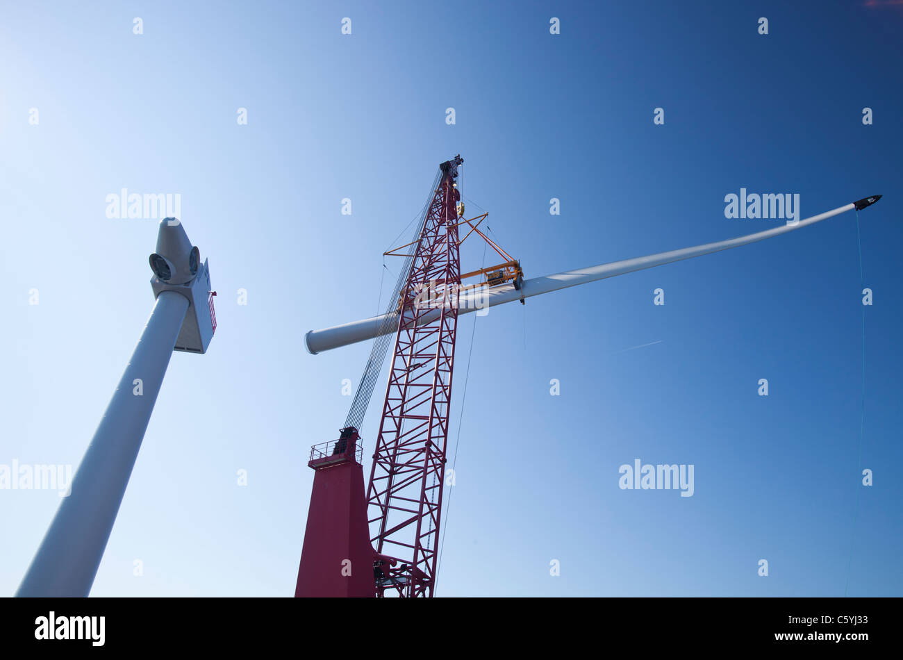 Le cric l'barge, Kraken, montage d'une pale de turbine d'une éolienne sur l'éolien offshore Walney, Cumbria, UK. Banque D'Images
