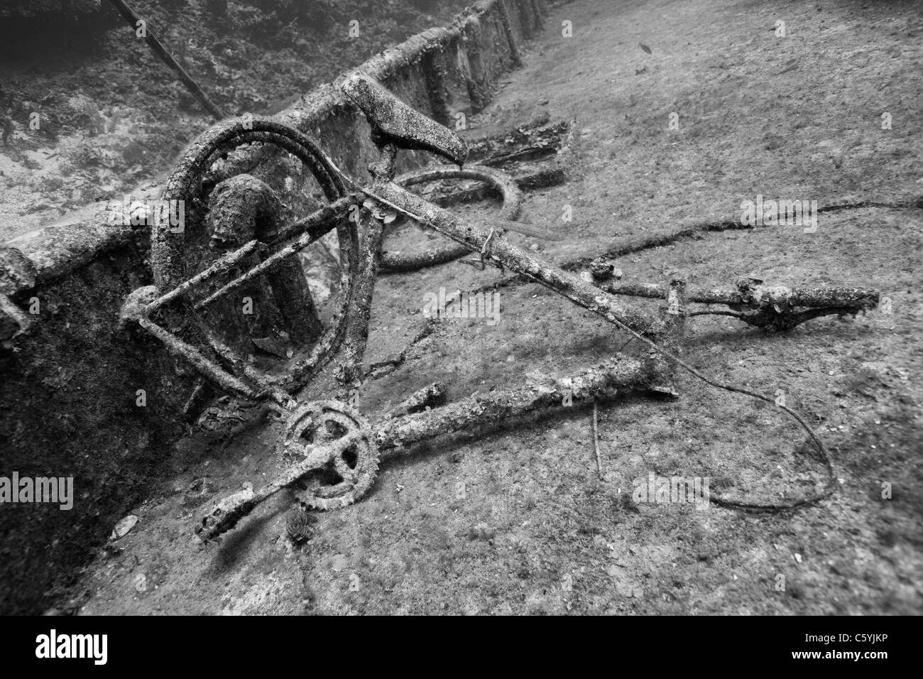 L'épave du M. Bud, un ancien bateau de pêche, sabordé au large de l'île de Roatan, Honduras Banque D'Images