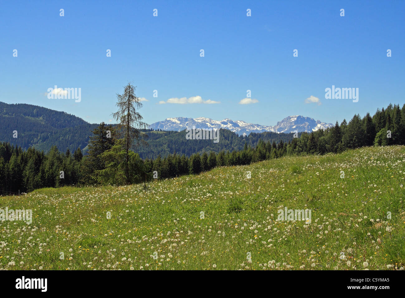 Pré alpin et point de vue sur les lointaines montagnes des Dolomites. Carinthie (Kärnten, Autriche) Banque D'Images