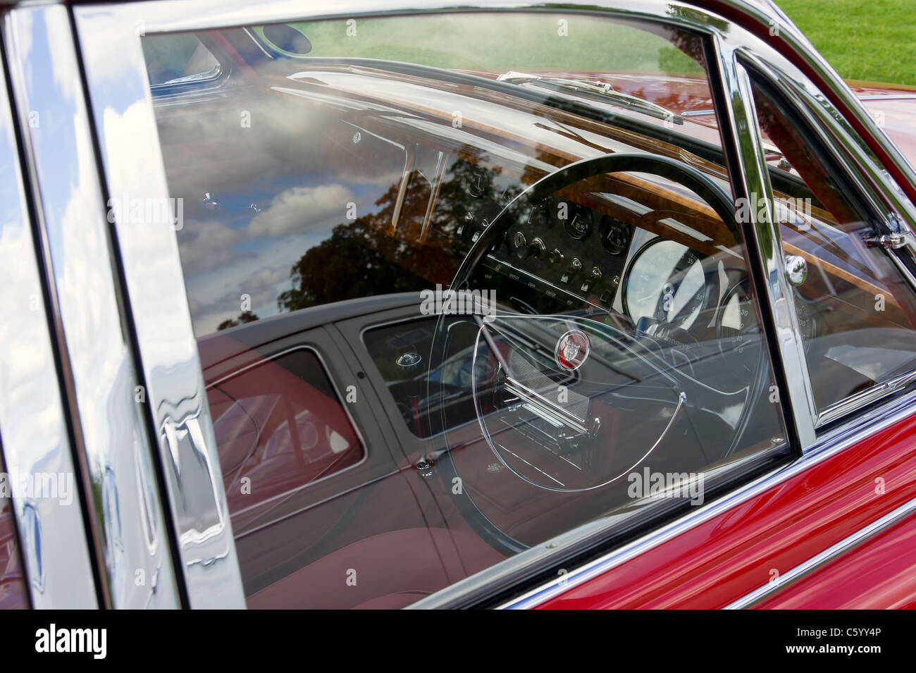 Jaguar Banque D'Images