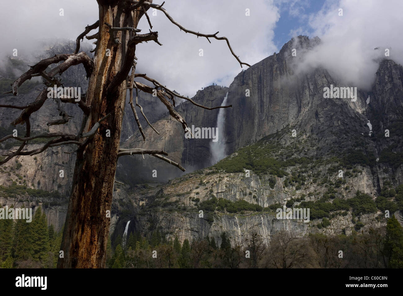 Yosemite Falls Banque D'Images