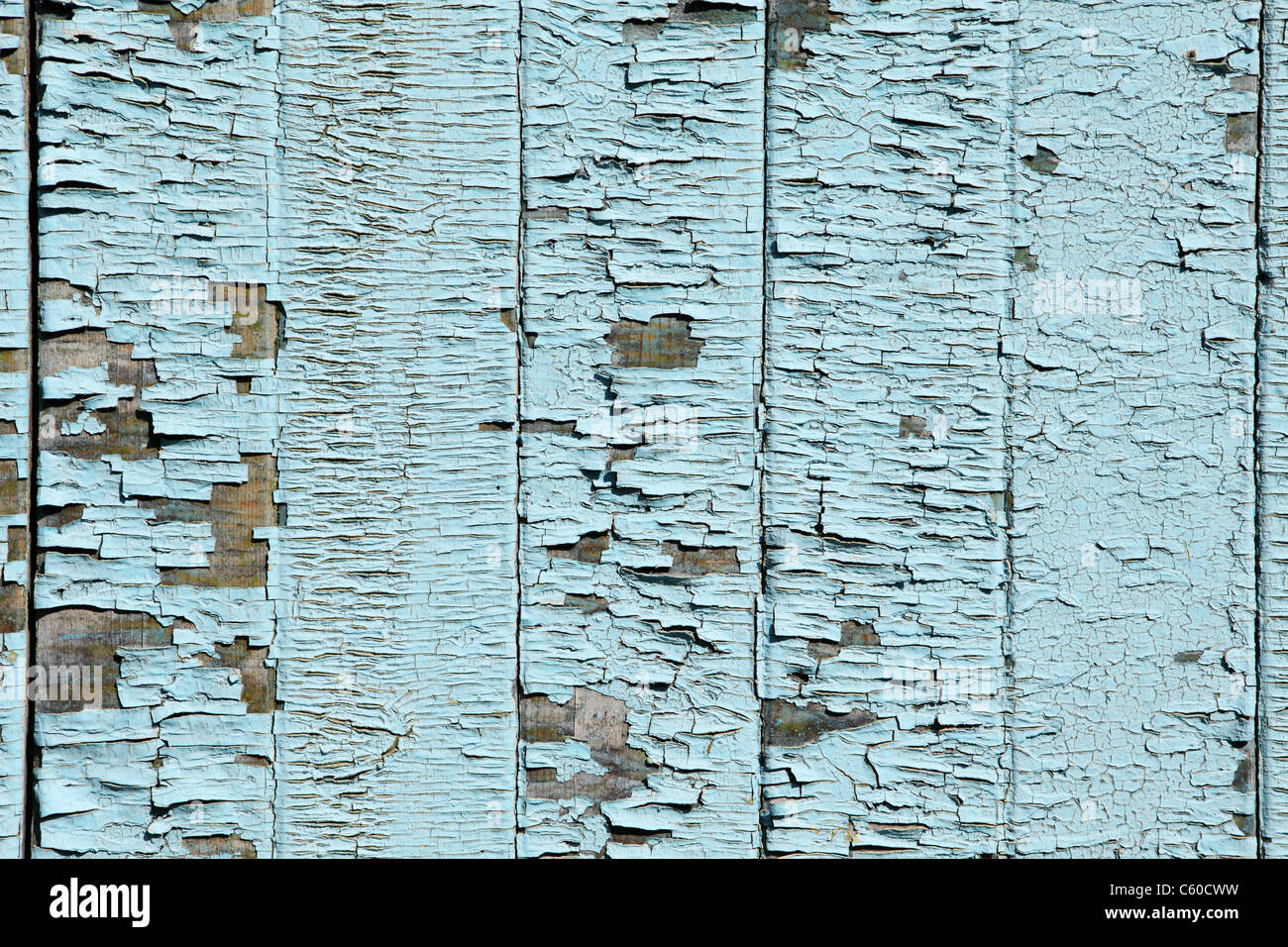 La texture de la vieille peinture sur bois bleu, l'arrière-plan Banque D'Images