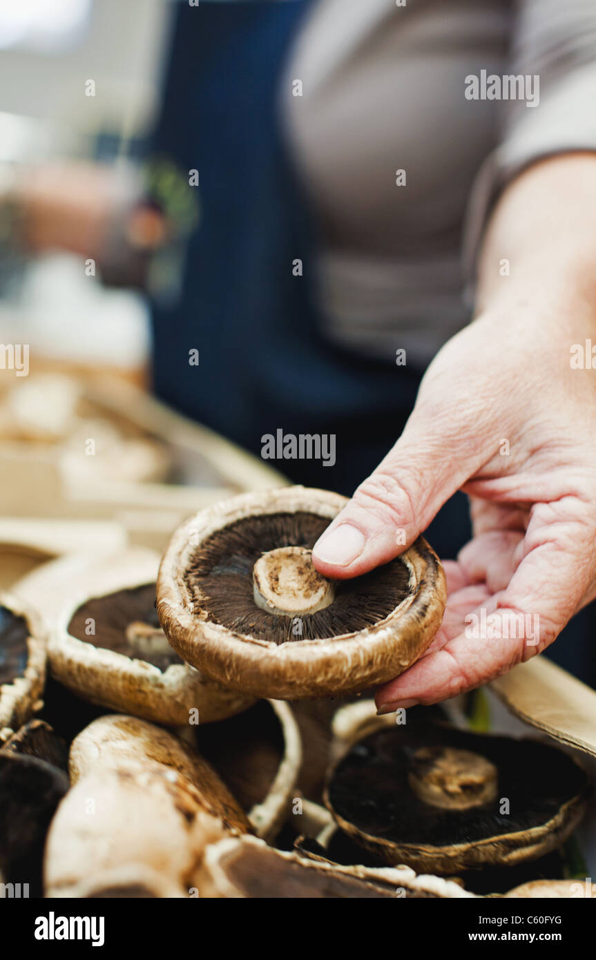 Close up de dessous de champignons Banque D'Images