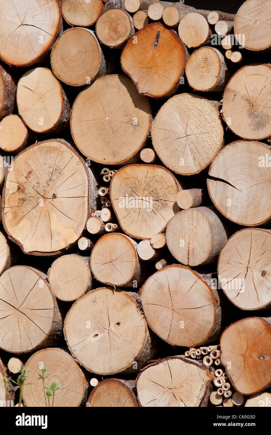 Pile de bois rond qui est utilisé pour un habitat aux insectes de la faune, England, UK Banque D'Images
