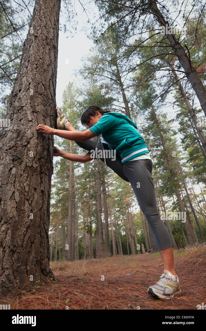 Runner stretching in forest Banque D'Images Runner stretching in forest Banque D'Images