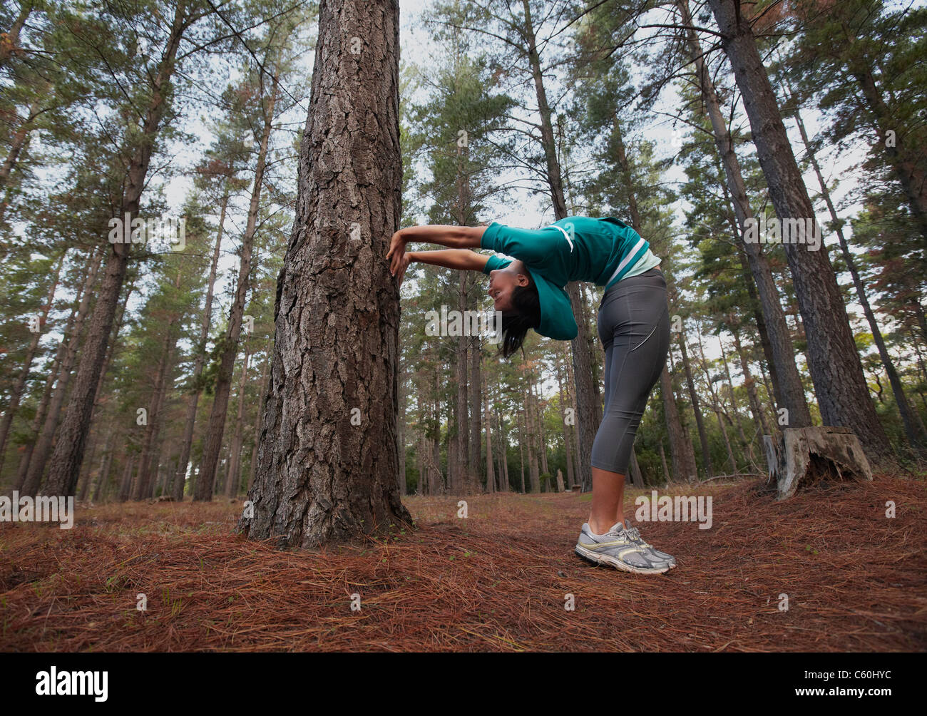 Runner stretching in forest Banque D'Images Runner stretching in forest Banque D'Images