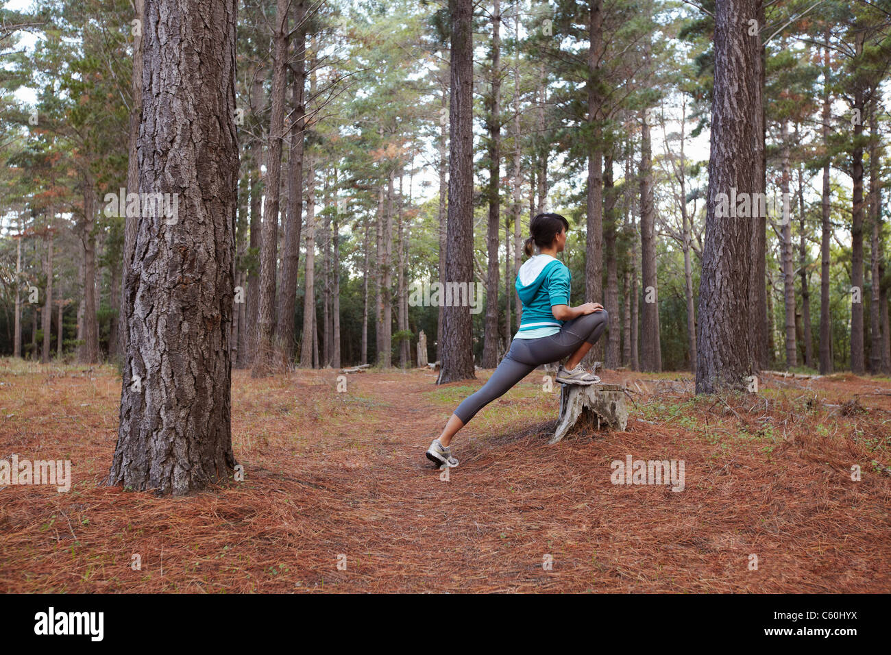 Runner stretching in forest Banque D'Images Runner stretching in forest Banque D'Images