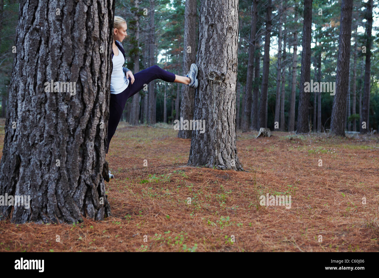 Runner stretching in forest Banque D'Images Runner stretching in forest Banque D'Images