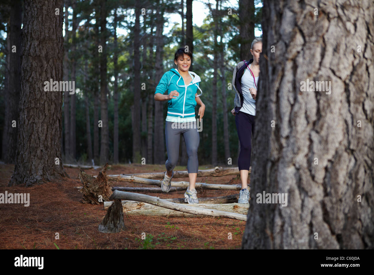 Les femmes en marche en forêt Banque D'Images