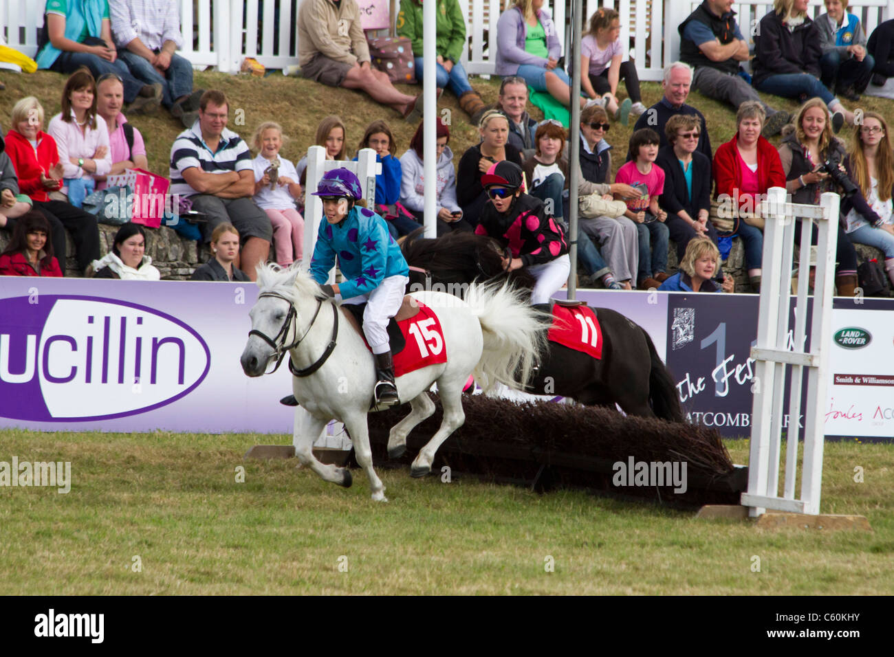 Poney Shetland Grand National Championships à Gatcombe Park Banque D'Images