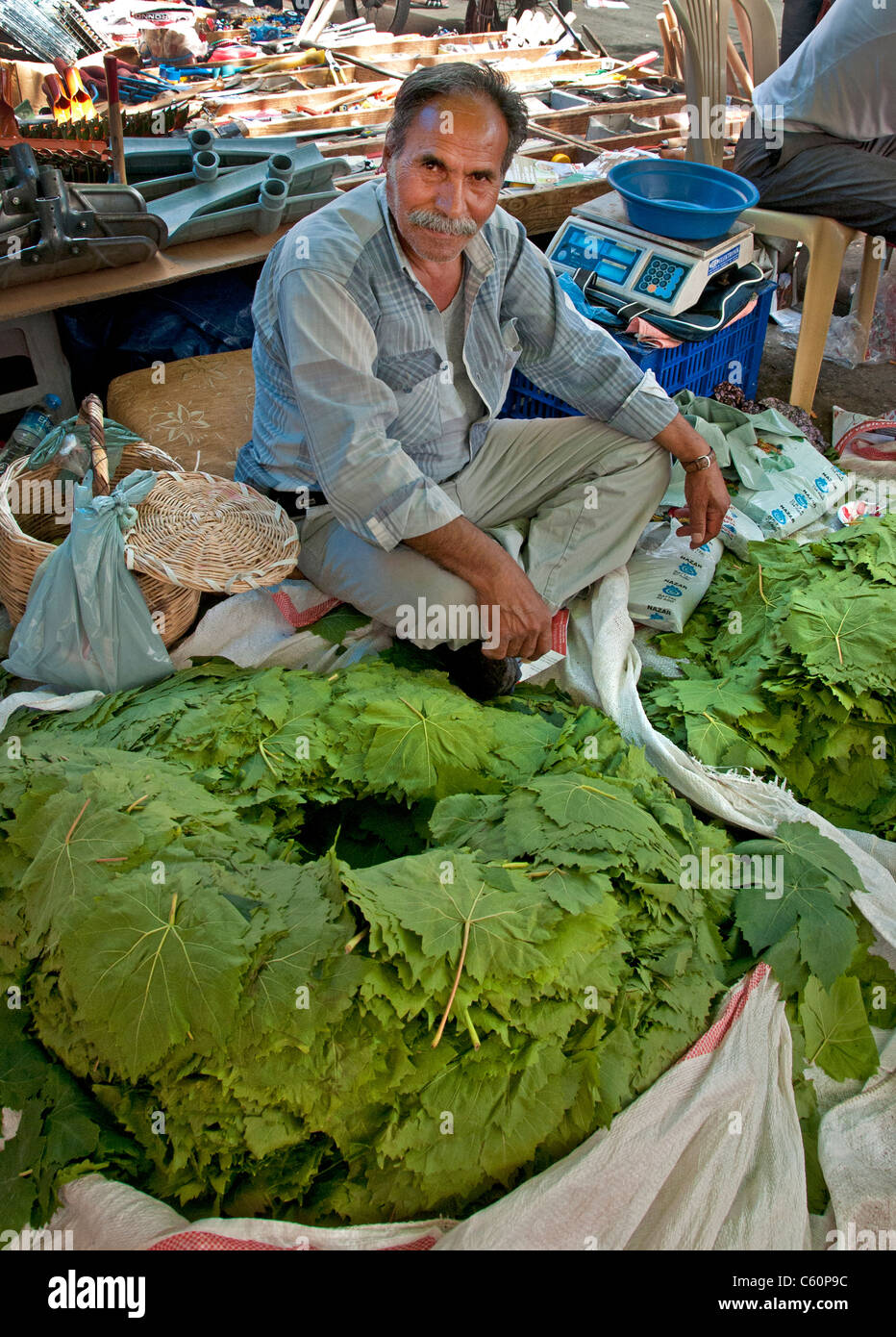 Feuilles de vigne Ayavalik Bazar Marché Turquie Turc Banque D'Images