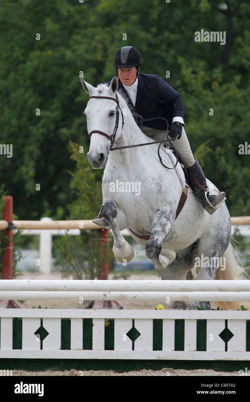 Un cheval et cavalier sautant une clôture au cours d'un spectacle équestre. Banque D'Images