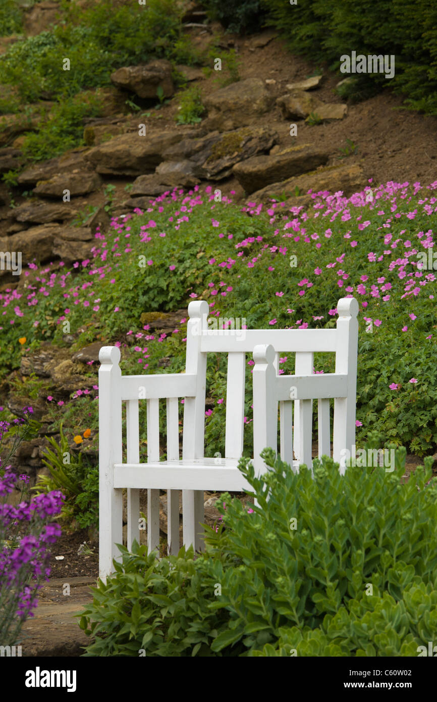 Chaise en bois blanc dans un jardin Banque D'Images