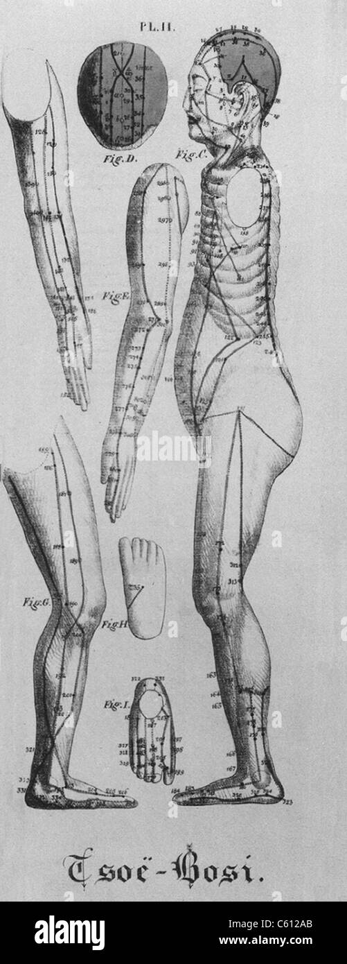 Figure humaine indiqué dans le profil à gauche avec les points d'acupuncture et les méridiens identifiés. Sont également indiquées sur la tête, les bras, les jambes, et le haut et le bas d'un pied. Illustration d'un livre français de 1825 sur l'acuponcture chinoise par Jean Baptiste Sarlandiere. Banque D'Images