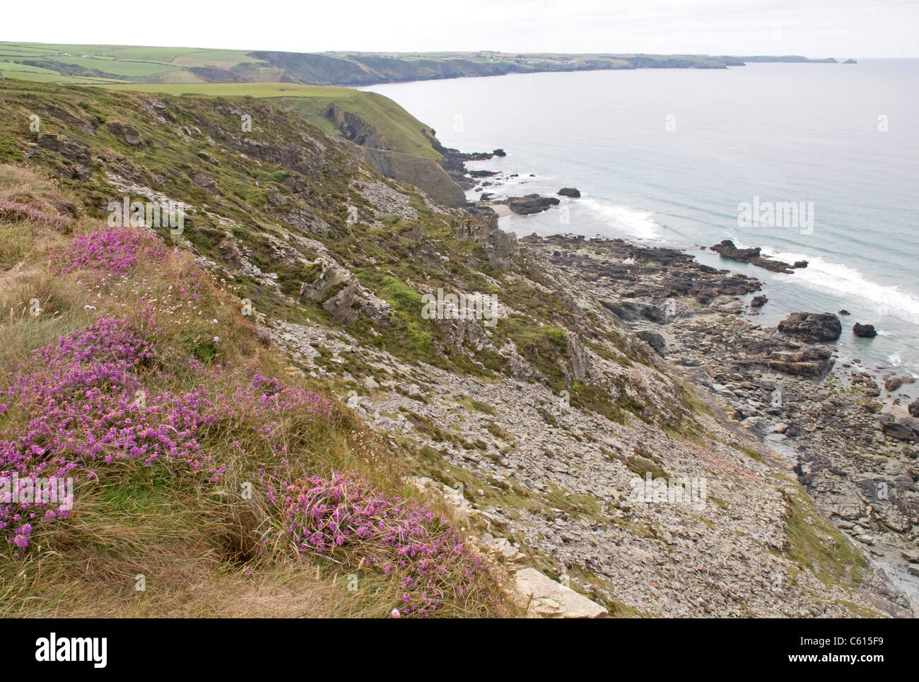 Au-dessus de Tregardock Beach sur la côte atlantique du Cornwall, à au sud-ouest vers l'ensemble de Port Isaac Bay à un lointain Point Pentire Banque D'Images