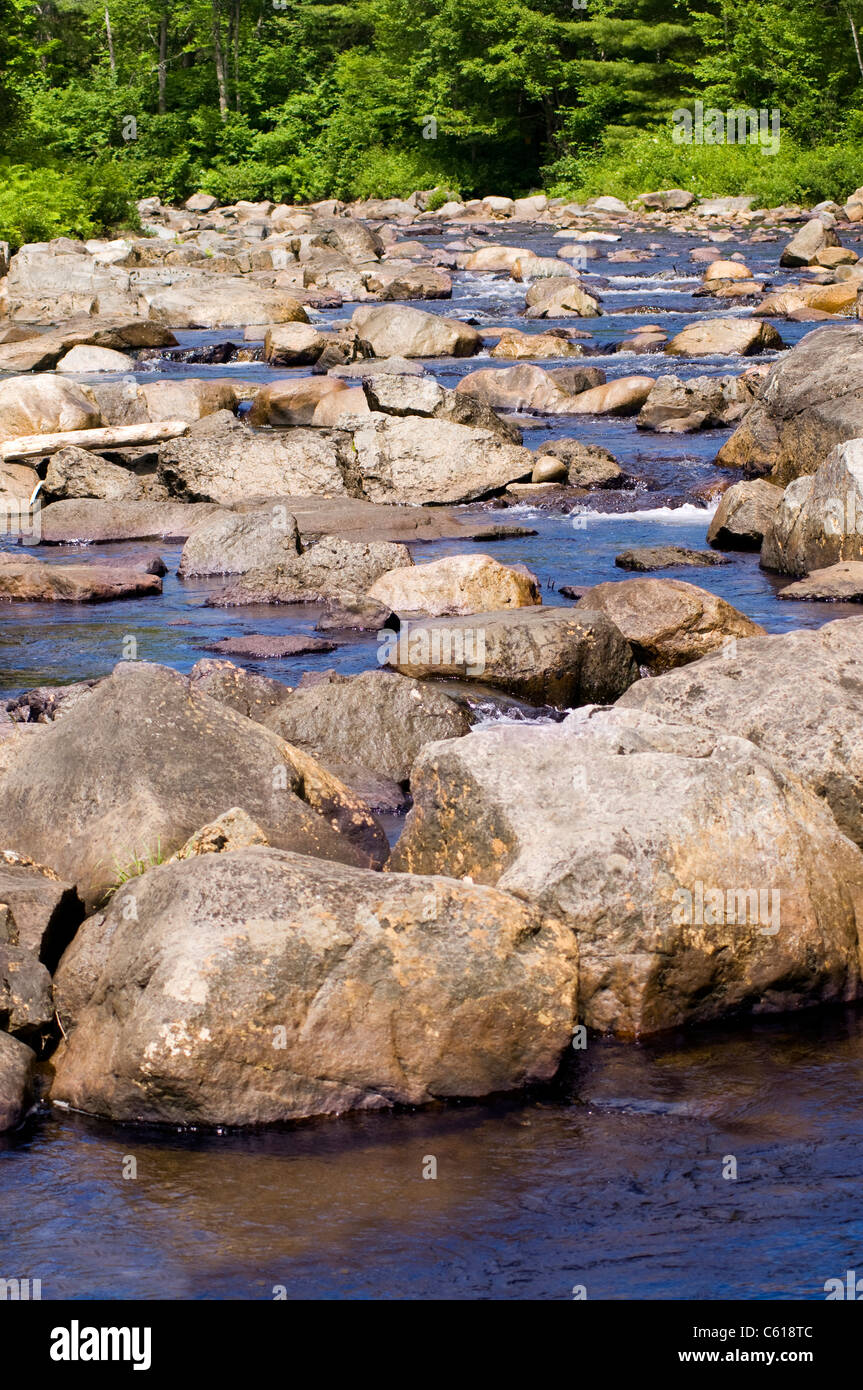 Cours d'eau boisé avec beaucoup de roches et de l'eau murmure Banque D'Images